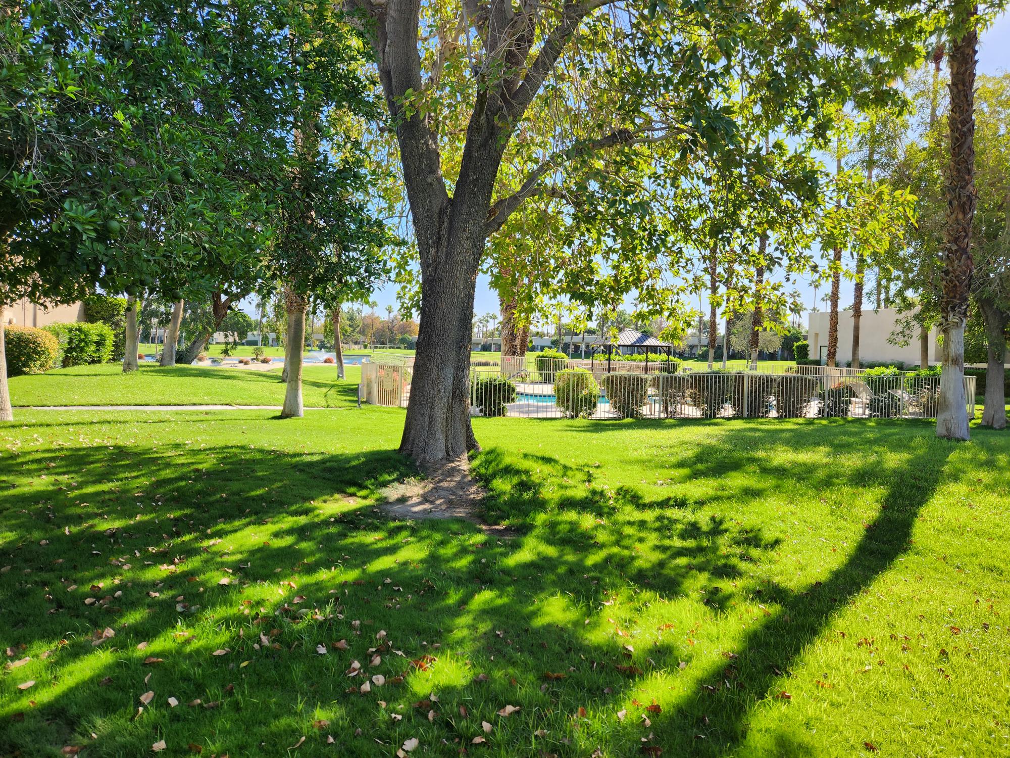 #856 – Pristine 2 Master Suite Condo –