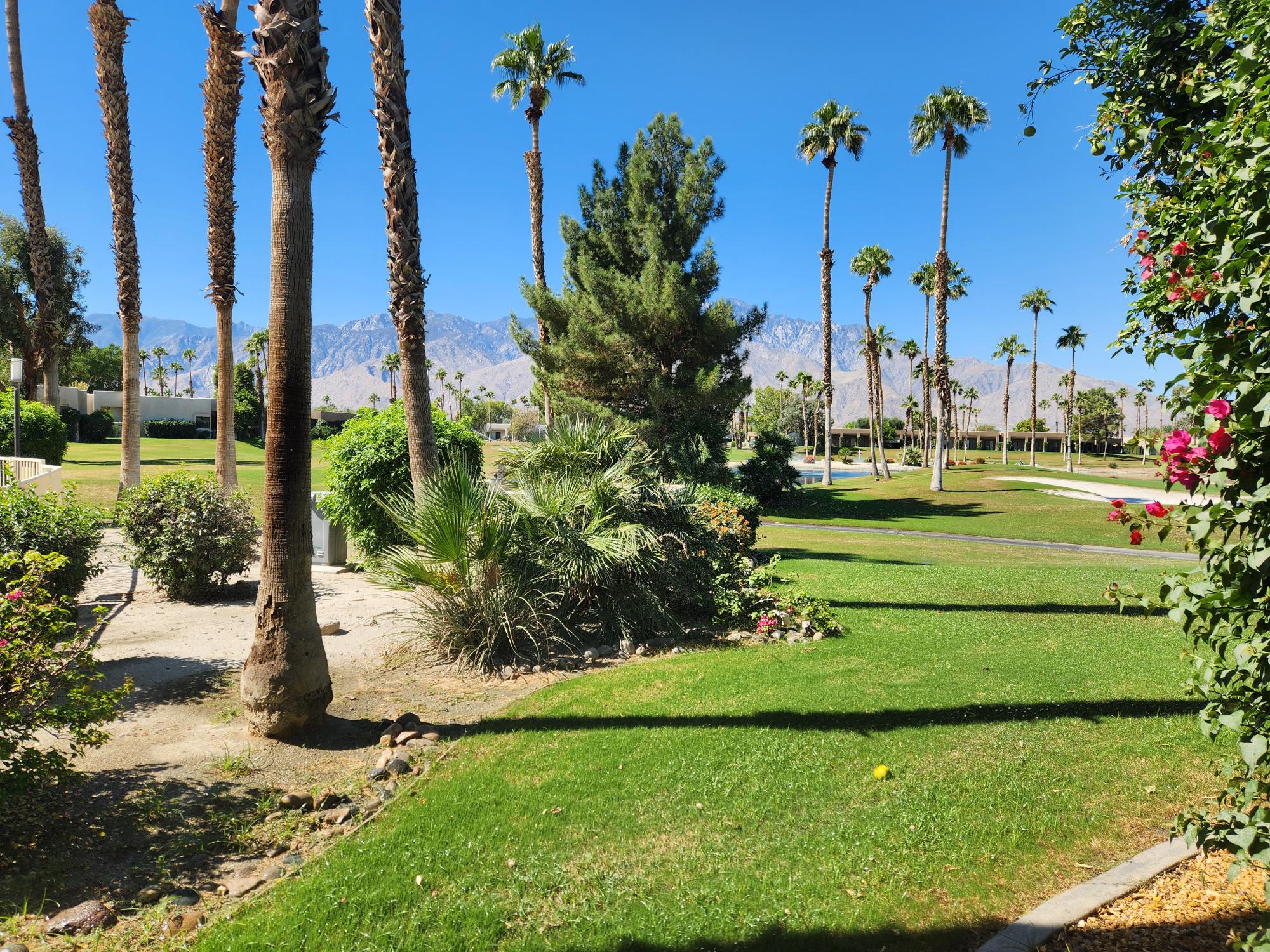 #857 – Remodeled 2 Master Suite Condo in Desert Princess – AVAILABLE: