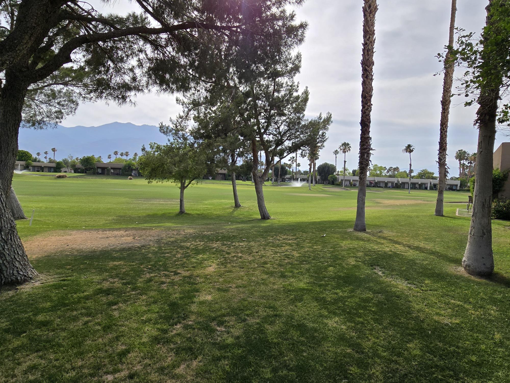 #967 COMPLETELY REMODELED 2 Bedroom +OFFICE/DEN CONDO – AMAZING VIEWS WEST – JANUARY 2026