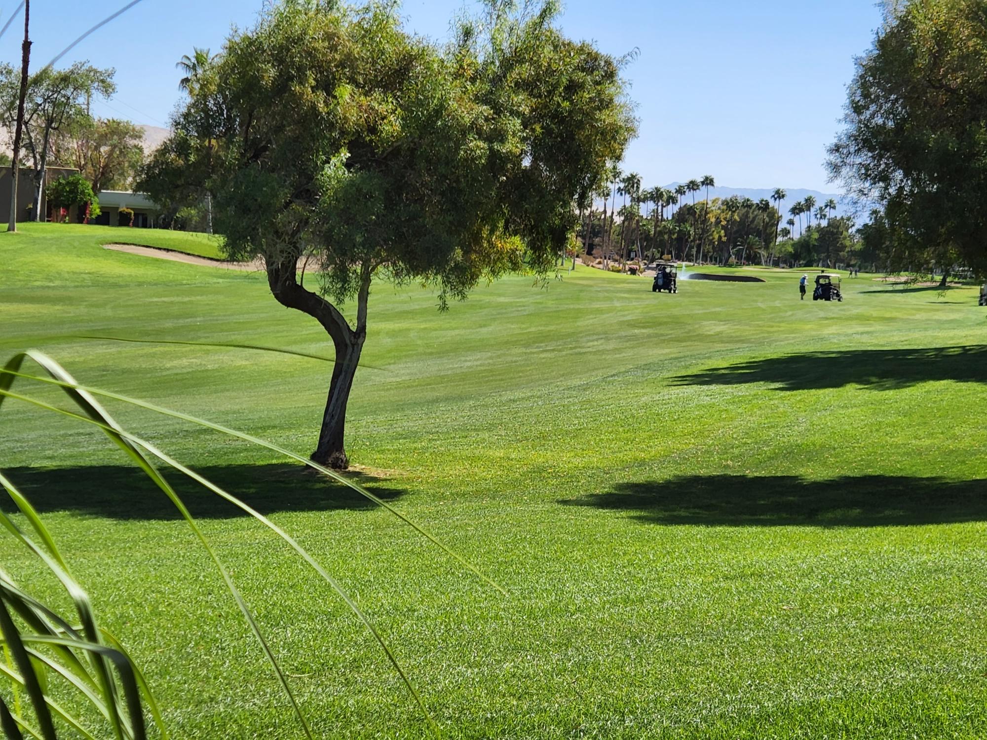 #256 – 2 BEDROOM TOLTEC MODEL CONDO – CUL-DE-SAC STREET – Available:  April 2026