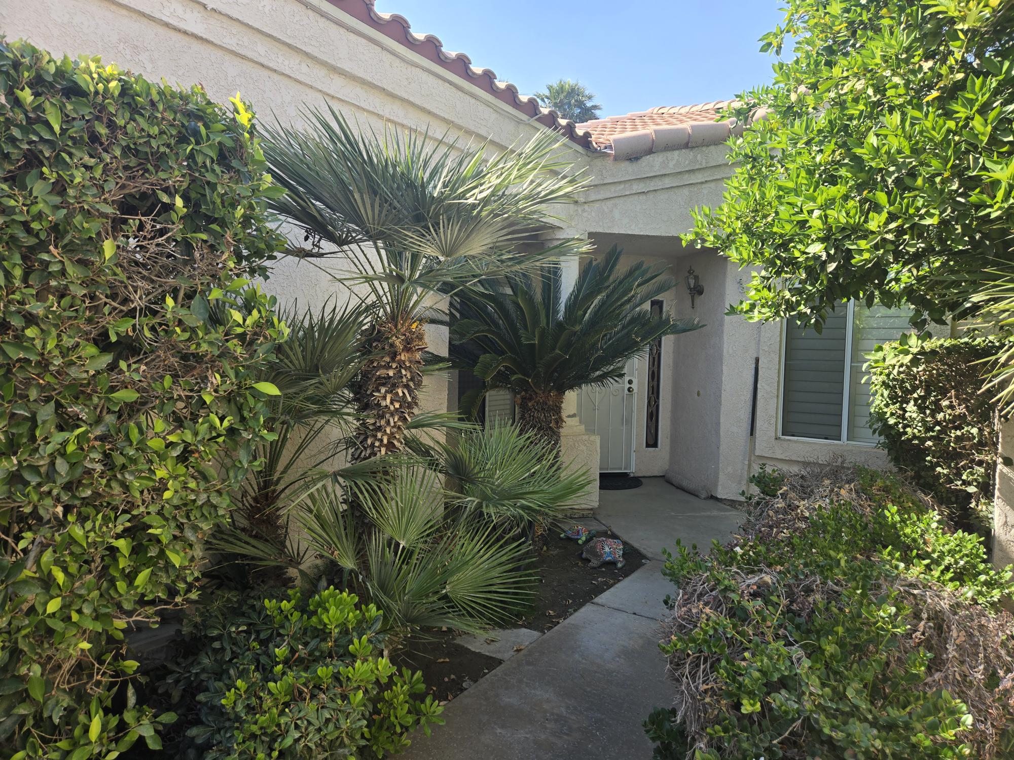 #872 – 2 BEDROOM POOL/SPA VILLA – BEAUTIFUL VIEWS – PARADISE! – AVAILABLE NOV- JAN AND MARCH & APRIL 2026 – Reduced monthly price!