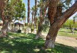 #175 – 3 Bedroom Gorgeous Condo with Southwest facing views – Available Nov – Dec 2025 – April 2026