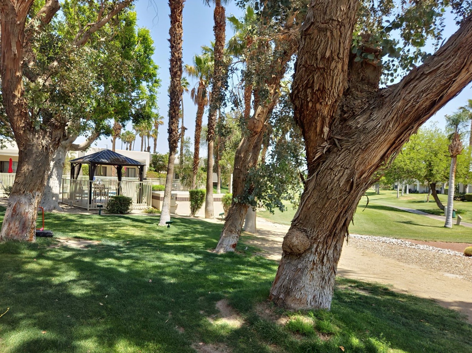 #175 – 3 Bedroom Gorgeous Condo with Southwest facing views – Available April 2026