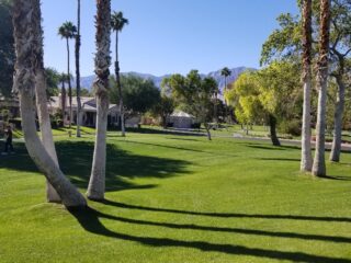 20201127_111709_resized_1
