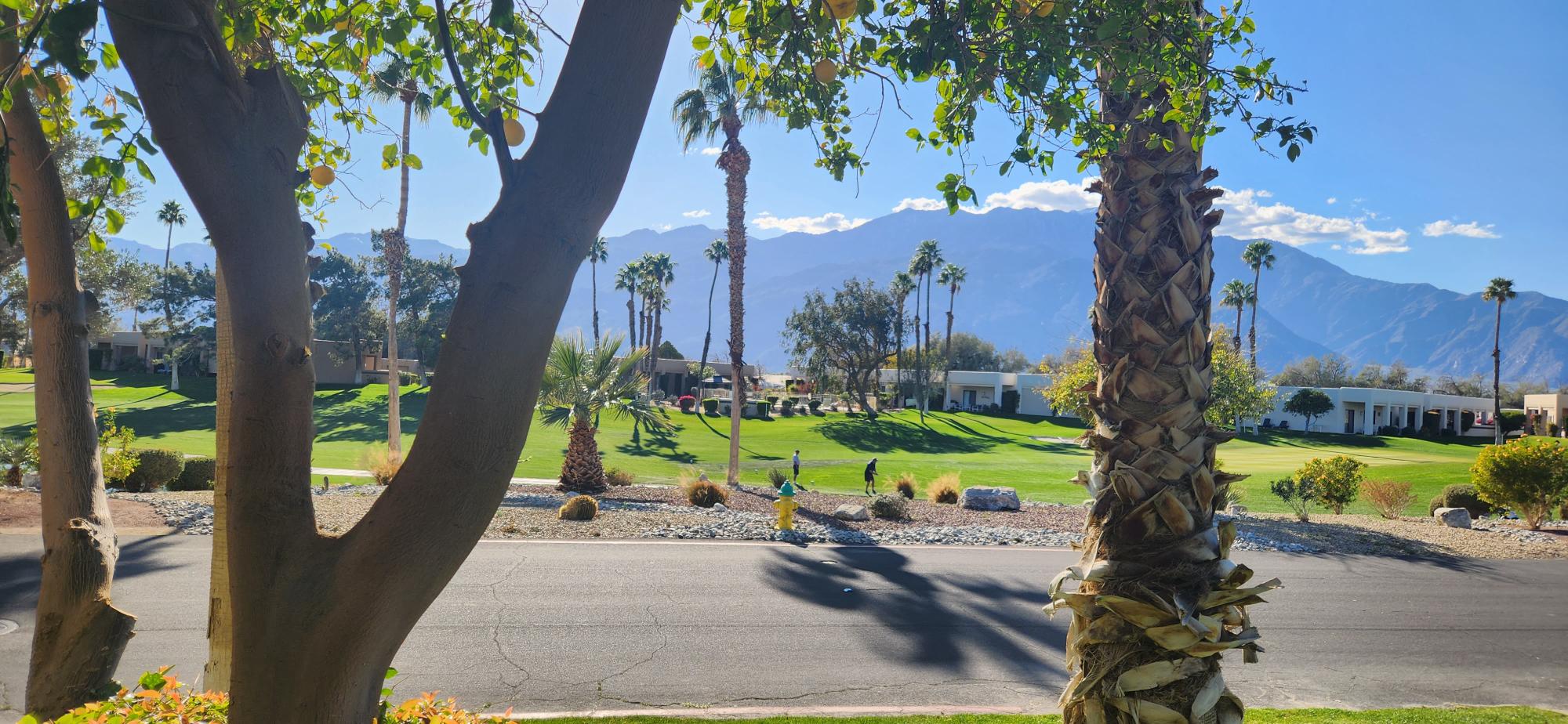 #176 – REMODELED 1-BEDROOM, 2 FULL BATH END UNIT CONDO WITH WEST VIEWS.  AVAILABLE:  NOV-DEC & MARCH & APRIL 2026