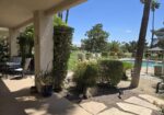 #638T JUST ADDED!   UPDATED 2 Bedroom CONDO ON POOL!  AVAILABLE DEC – FEBRUARY