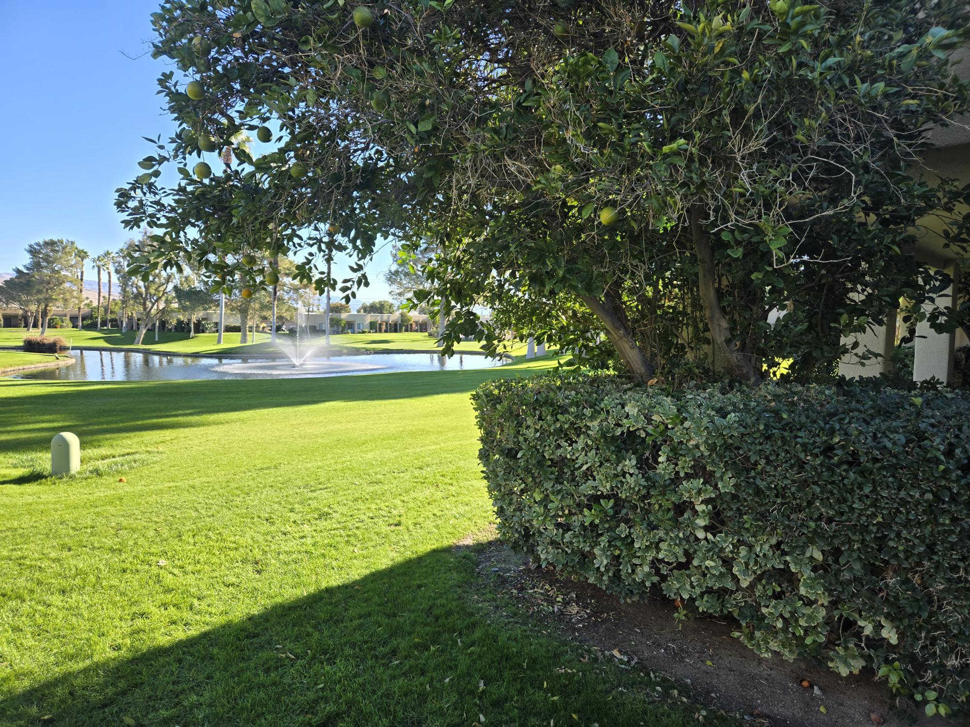 #020 – Remodeled with FABULOUS views – 2 Beds, 2 Bath Condo – AVAILABLE:  NOV-DEC 2026