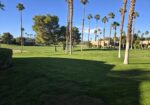 #923 – 3 BEDROOM, 2 BATH UPDATED CONDO WITH FANTASTIC VIEWS!  AVAILABLE JANUARY 2027 – PET FRIENDLY