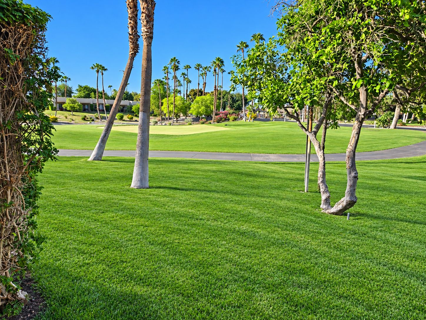 #488 – 2-BEDROOM W/ DINING ROOM or 3rd GUEST ROOM CONDO, REMODELED AND BEAUTIFUL – AVAILABLE:  JAN 2027